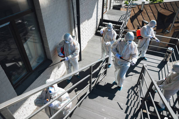 Best Mold Removal for HVAC Installations  in Shiremanstown, PA