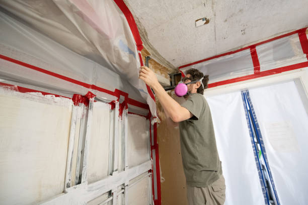 Best Residential Mold Inspection & Testing  in Shiremanstown, PA