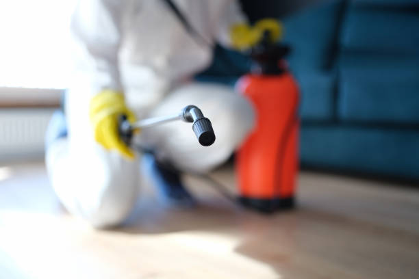 Best Post-Construction Mold Inspection  in Shiremanstown, PA