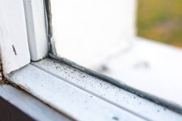 Best HVAC Mold Inspection and Cleaning  in Shiremanstown, PA